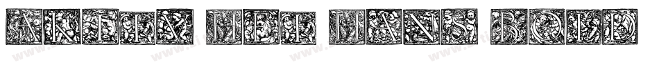 Aktiv Hei Hans Bold字体转换